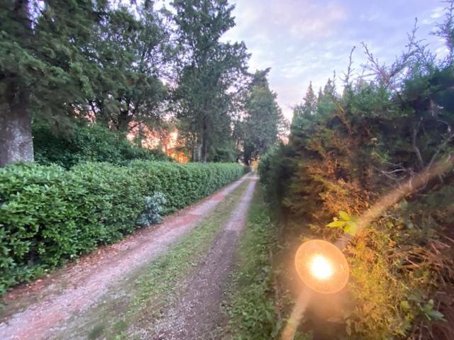 La Magnolia Bed & Breakfast Greve in Chianti Luaran gambar